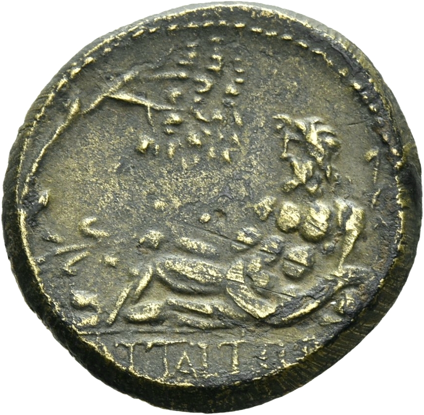 CN Type 16990, реверс, cn-coins