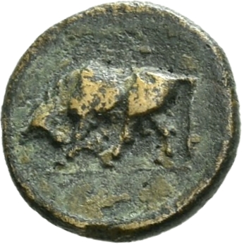 CN Type 19756, реверс, cn-coins