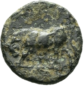 CN Type 19756, реверс, cn-coins