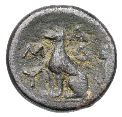 реверс CN Type cn.madytus.1_ed.11