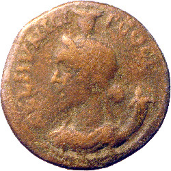 реверс CN Type cn.coela.1_ed.109