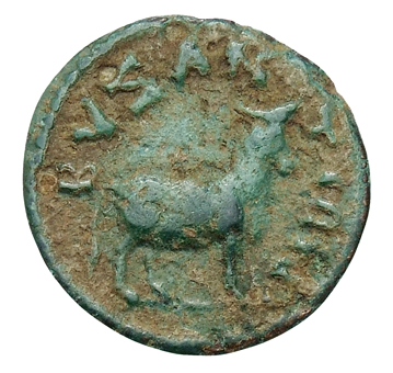 реверс CN Type cn.byzantium.1_ed.253