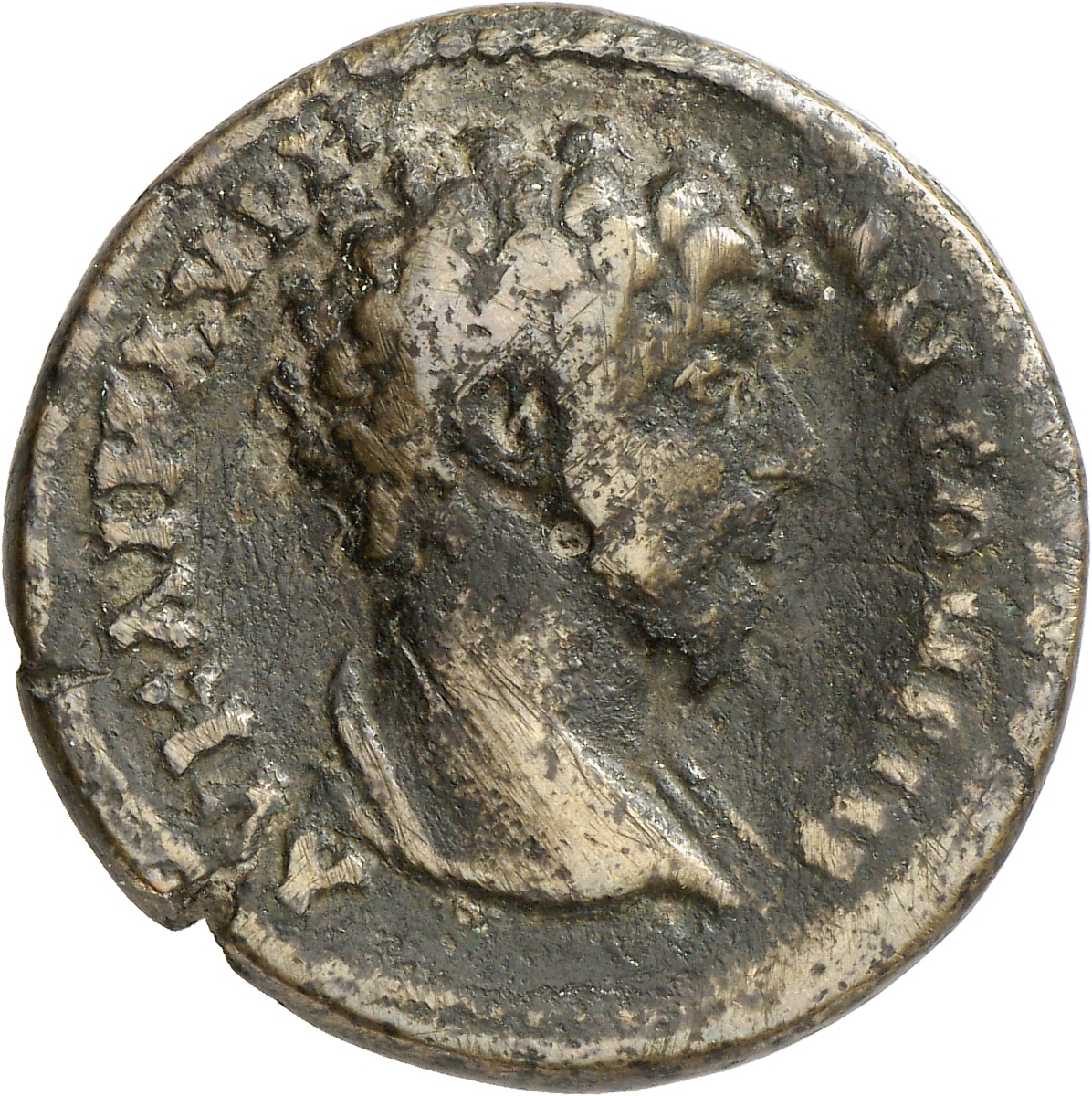 obverse CN Type cn.augusta_trajana.1_ed.19