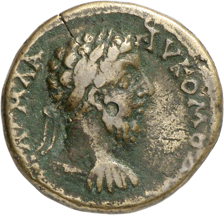 CN Type cn.augusta_trajana.1_ed.65, аверс, cn-coins