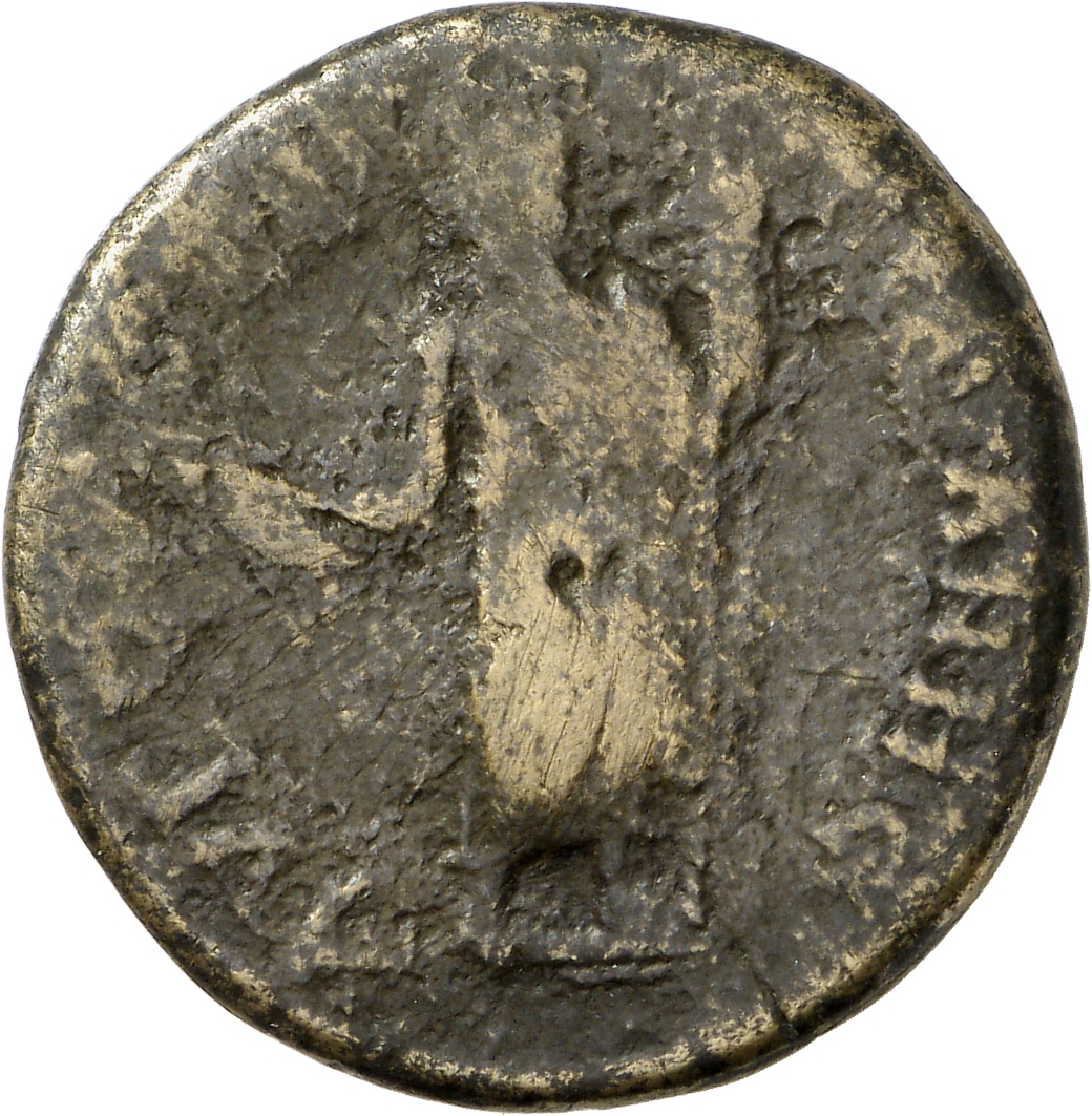 reverse CN Type cn.augusta_trajana.1_ed.207
