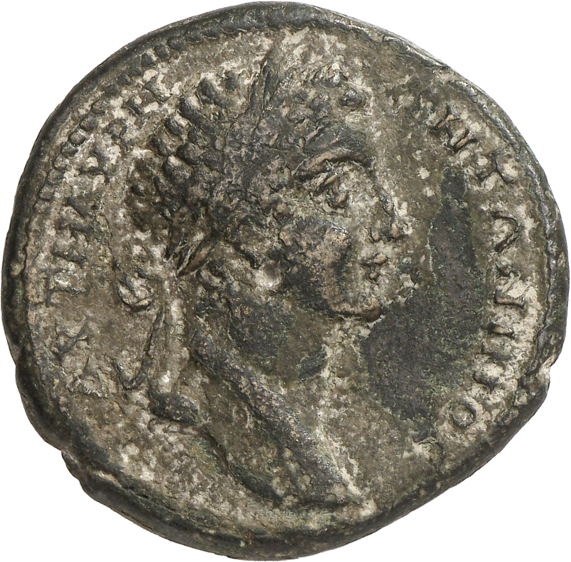 obverse CN Type cn.augusta_trajana.1_ed.218