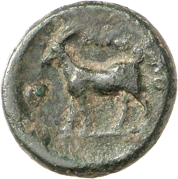 реверс CN Type cn.aegospotami.1_ed.4