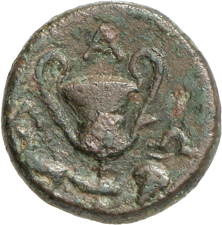CN Type cn.alopeconnesus.1_ed.2, реверс, cn-coins
