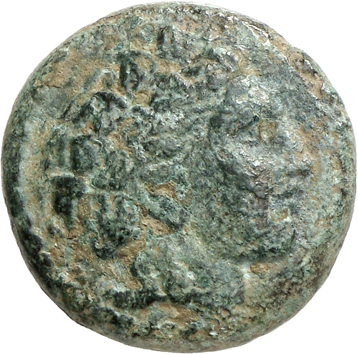 CN Type cn.alopeconnesus.1_ed.2, аверс, cn-coins