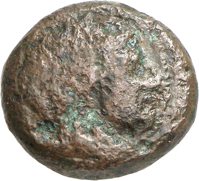 CN Type cn.alopeconnesus.1_ed.2, аверс, cn-coins