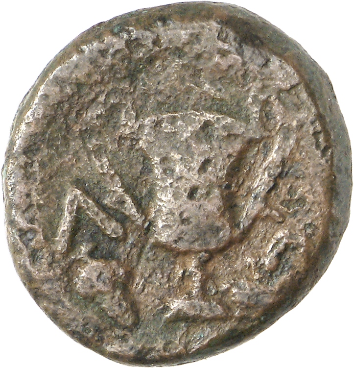CN Type cn.alopeconnesus.1_ed.2, реверс, cn-coins