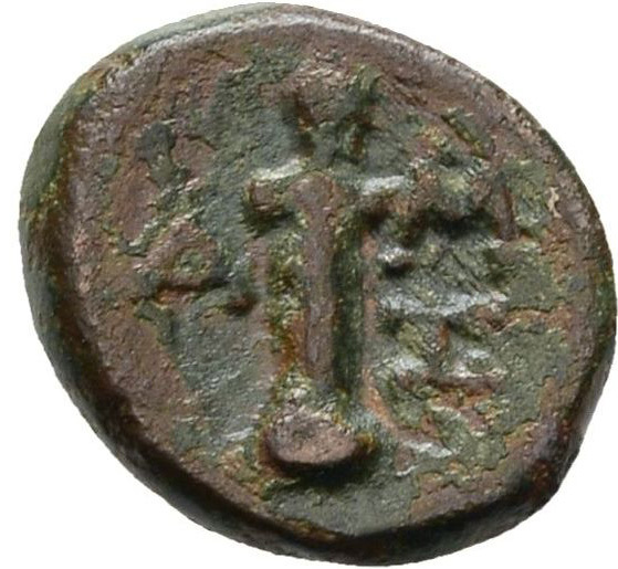 реверс CN Type cn.sestus.1_ed.18