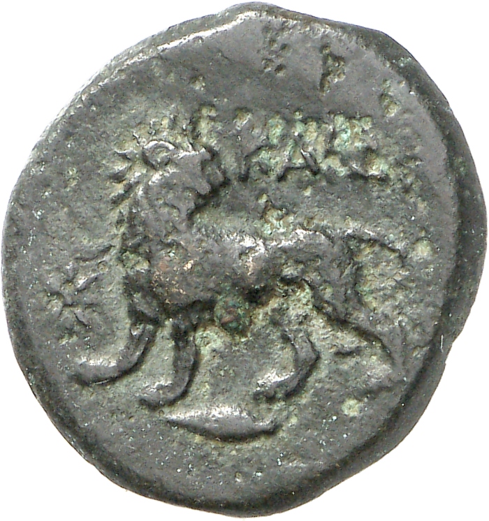 реверс CN Type cn.cardia.2_ed.2