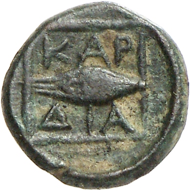 реверс CN Type cn.cardia.2_ed.26