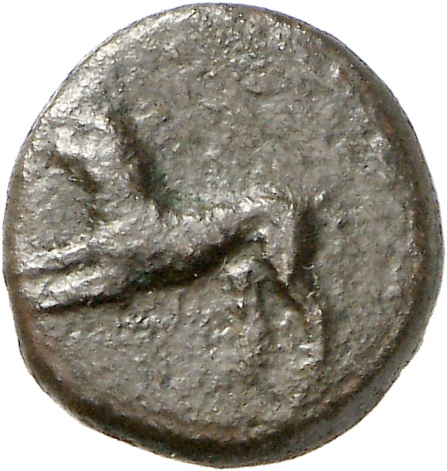 CN Type cn.cardia.1_ed.27, аверс, cn-coins
