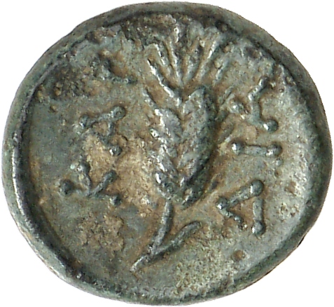 реверс CN Type cn.cardia.1_ed.19