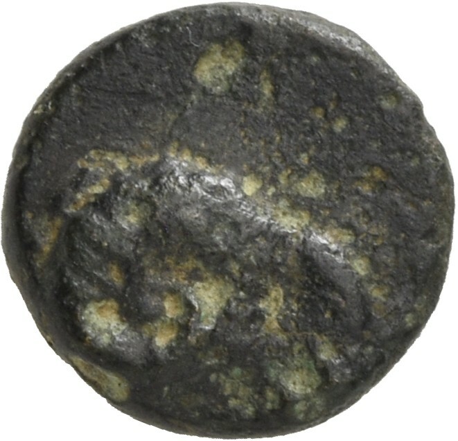 CN Type 12099, аверс, cn-coins