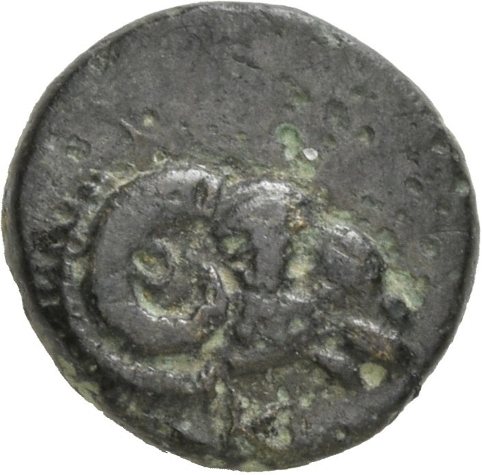 CN Type 12102, аверс, cn-coins