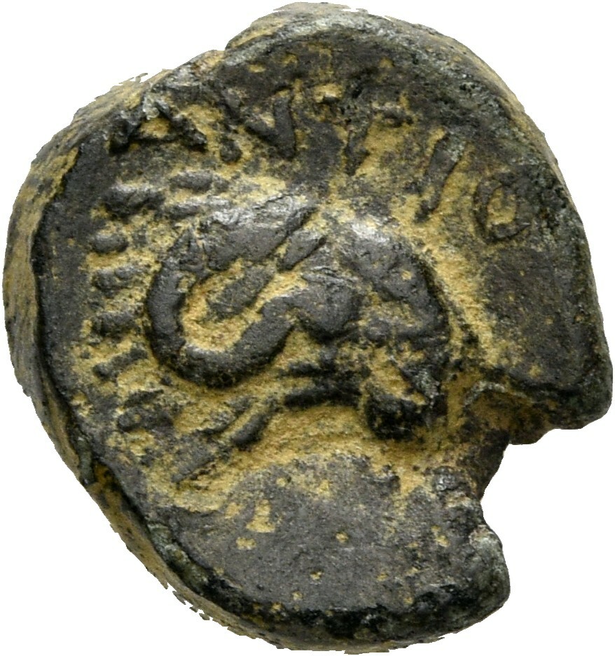 CN Type 12120, реверс, cn-coins