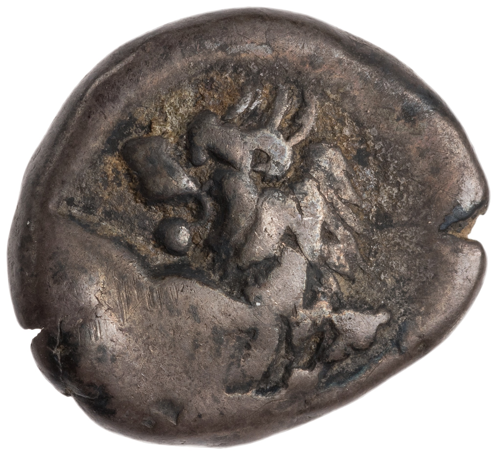 CN Type cn.chersonesus_thrace.1_ed.96, аверс, cn-coins
