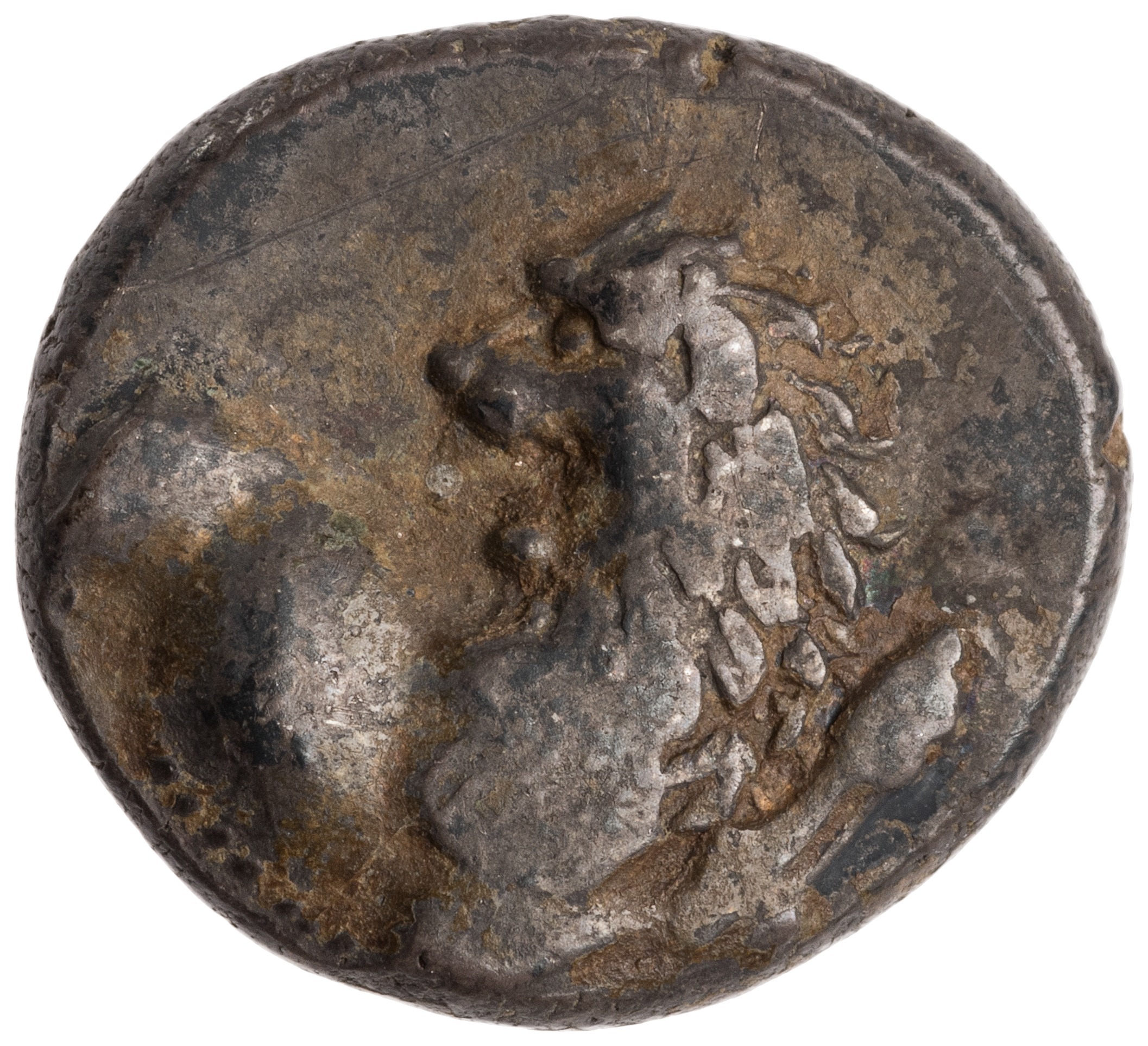 CN Type cn.chersonesus_thrace.1_ed.110, аверс, cn-coins