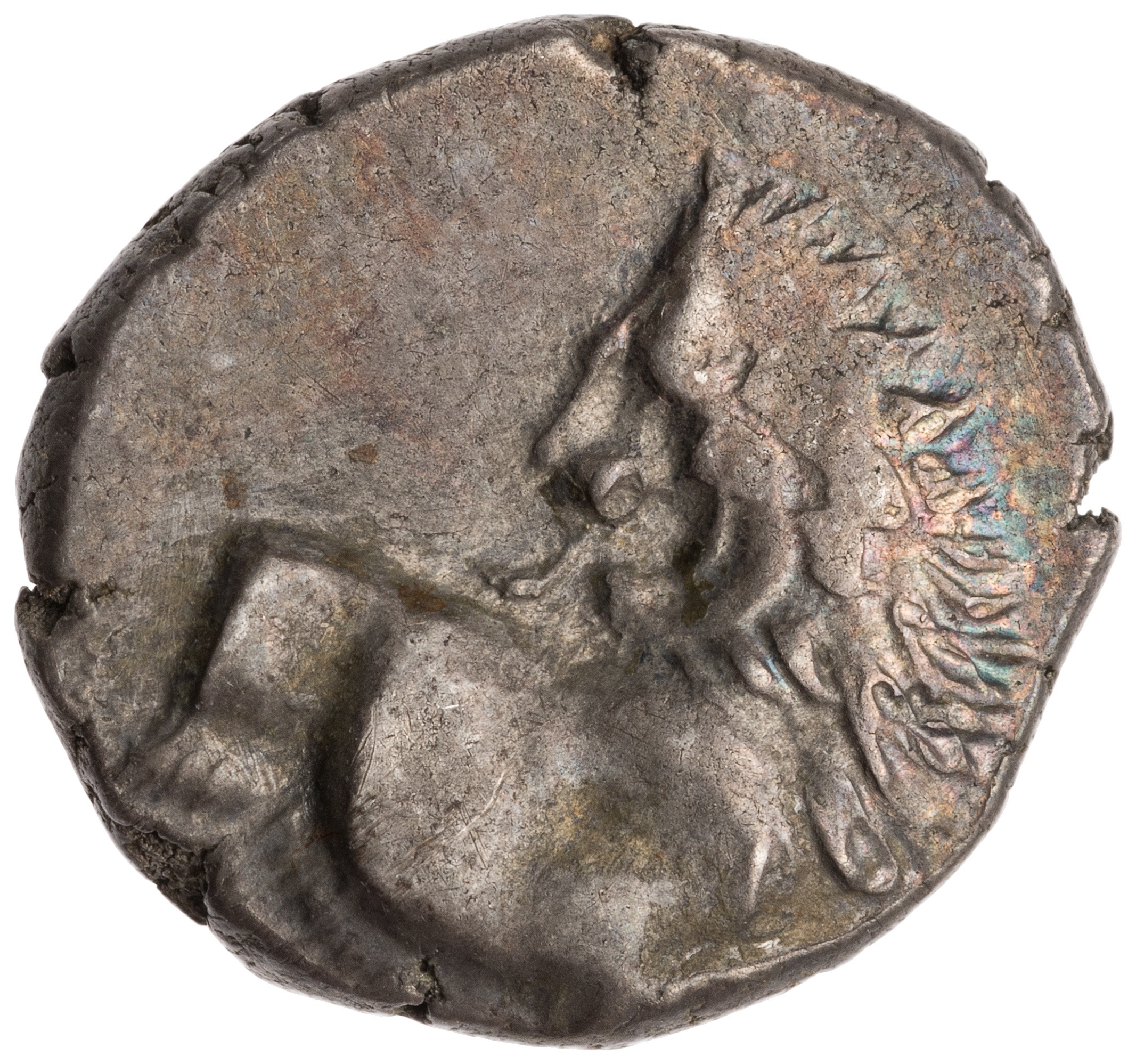 аверс CN Type cn.chersonesus_thrace.1_ed.113