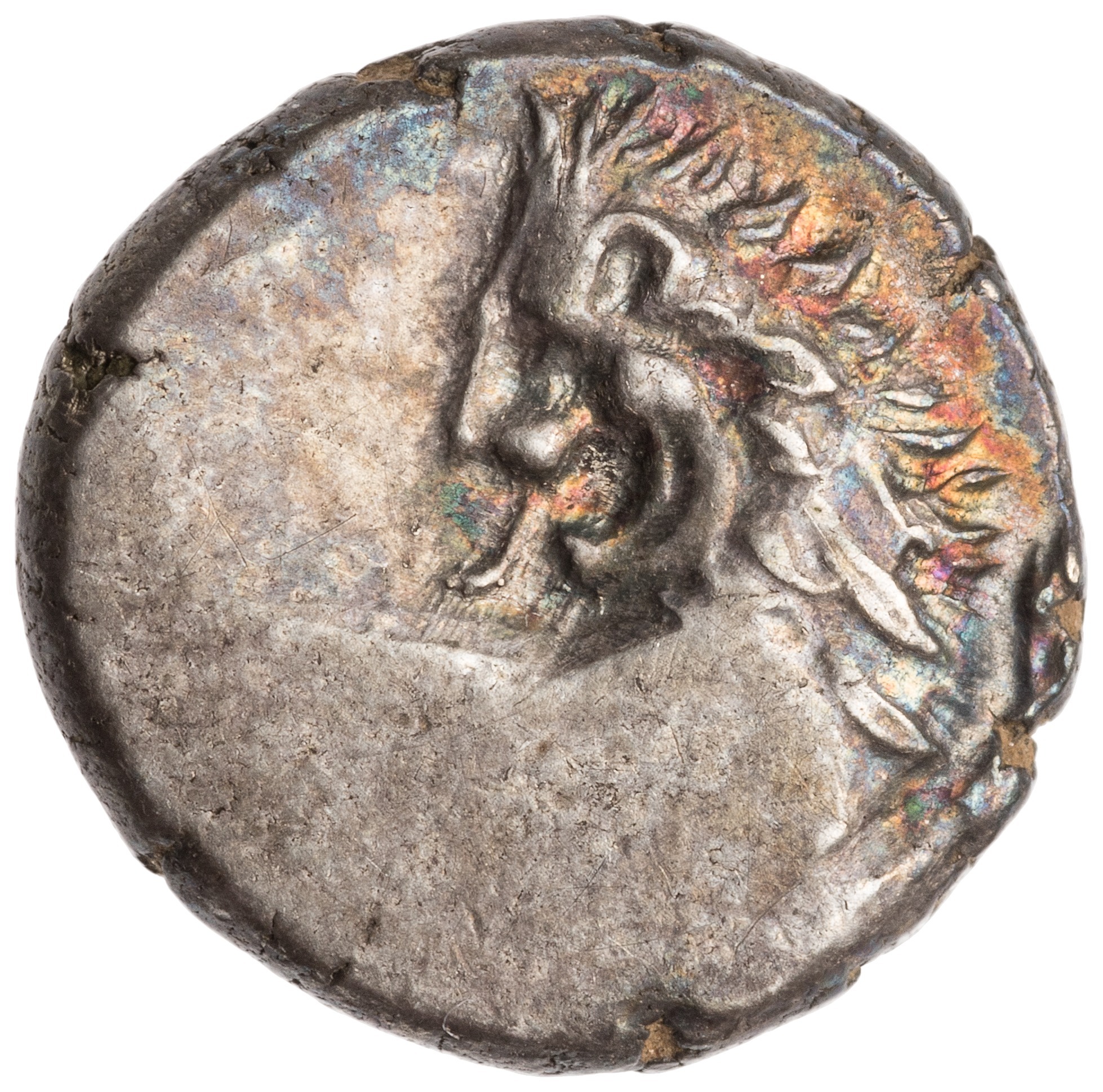 CN Type cn.chersonesus_thrace.1_ed.113, аверс, cn-coins
