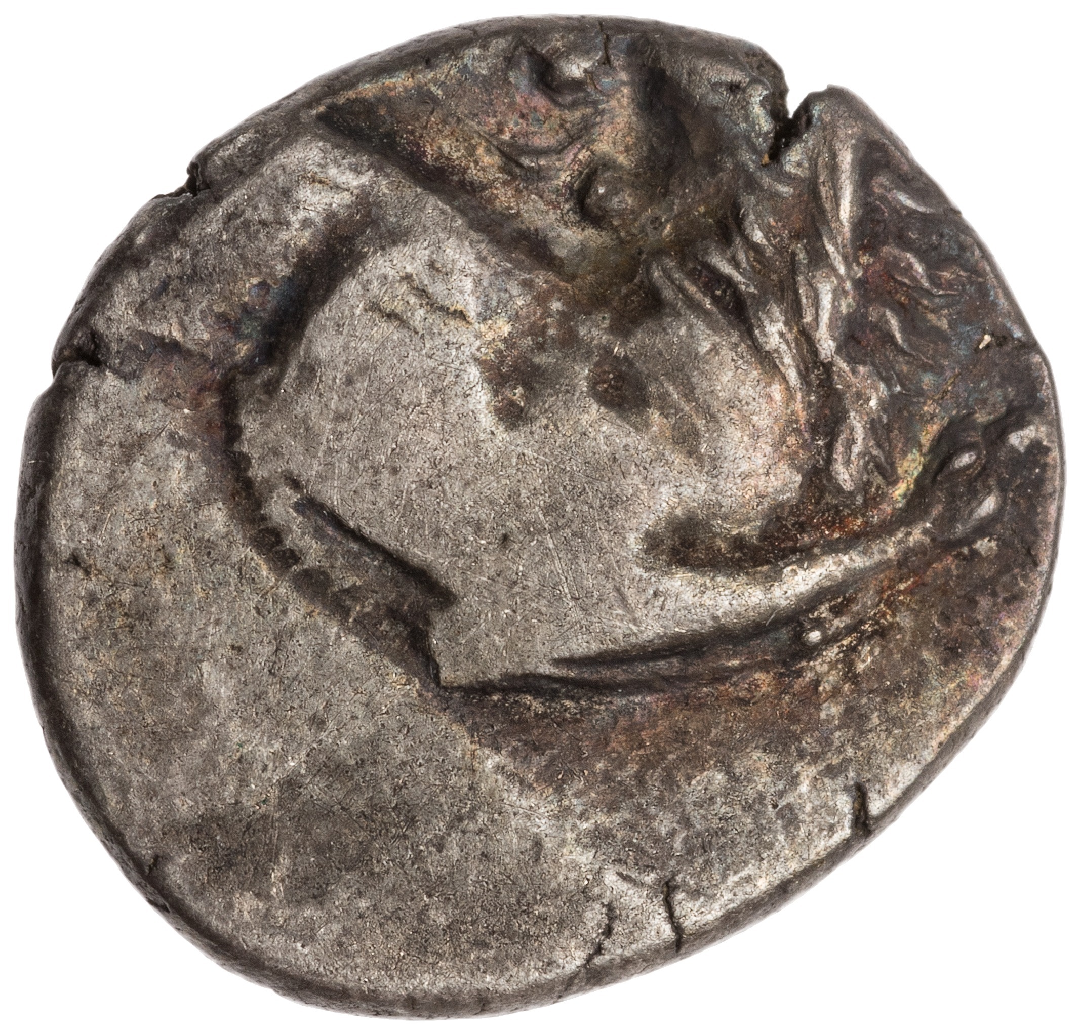 CN Type cn.chersonesus_thrace.1_ed.113, аверс, cn-coins