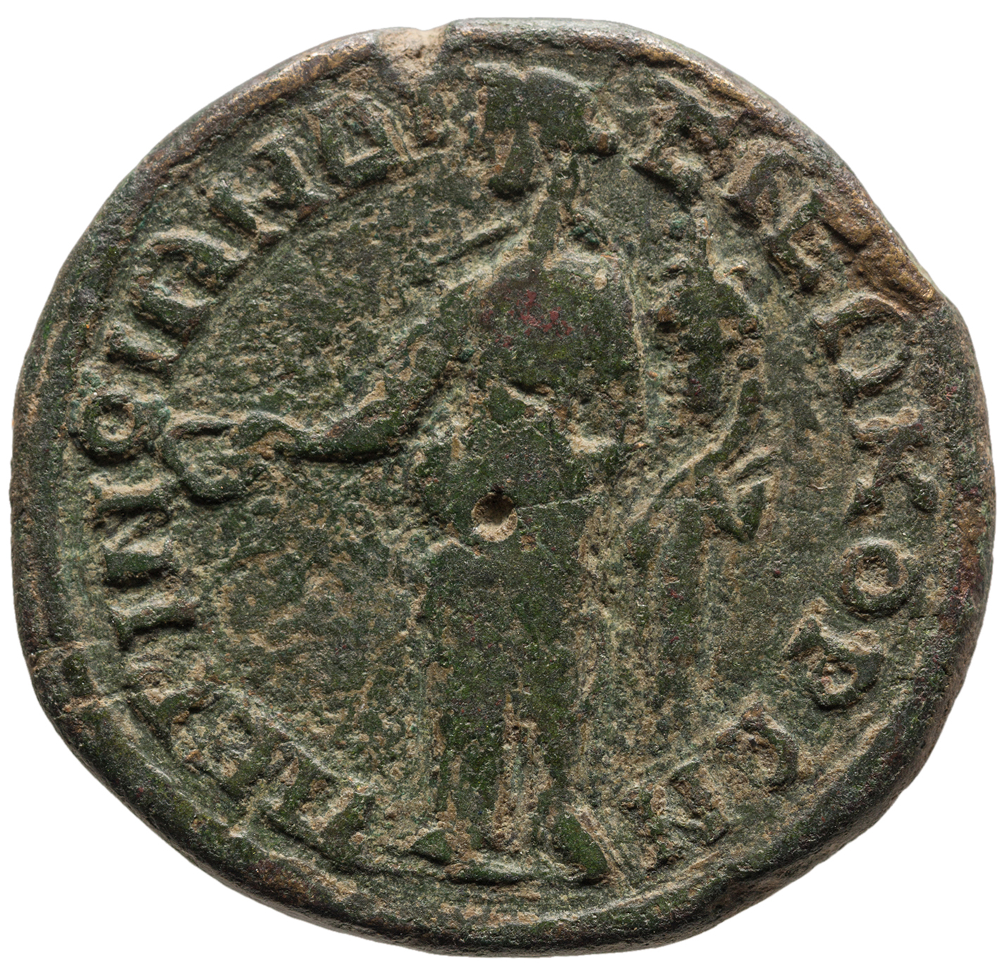 реверс CN Type cn.perinthus.1_ed.515
