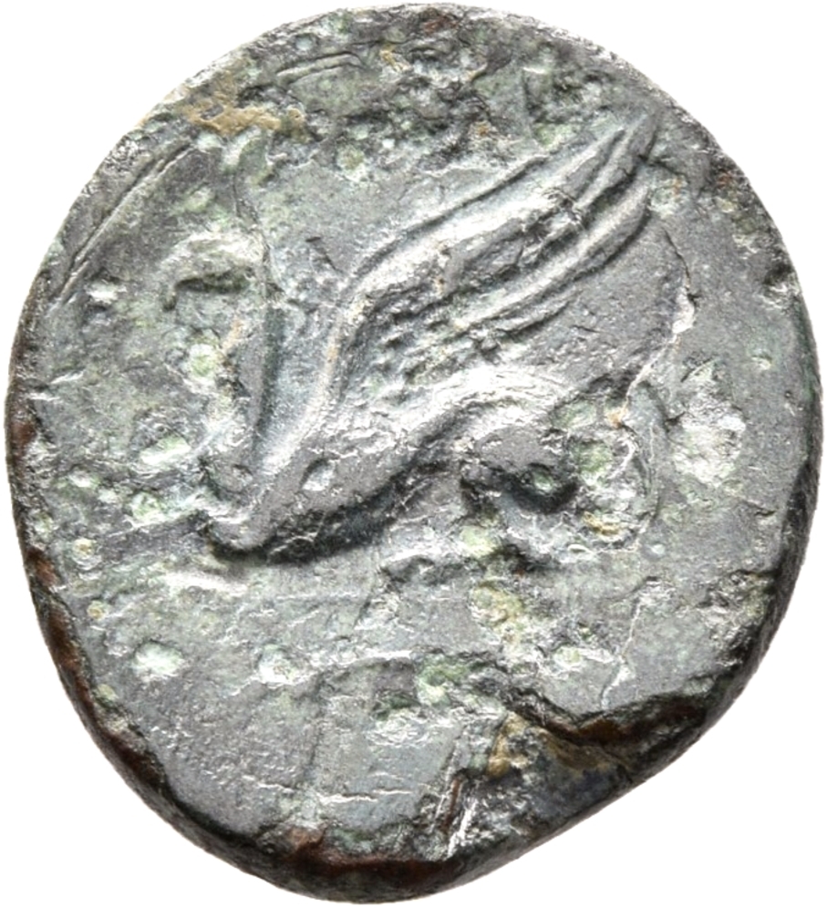 CN Type 13058, реверс, cn-coins