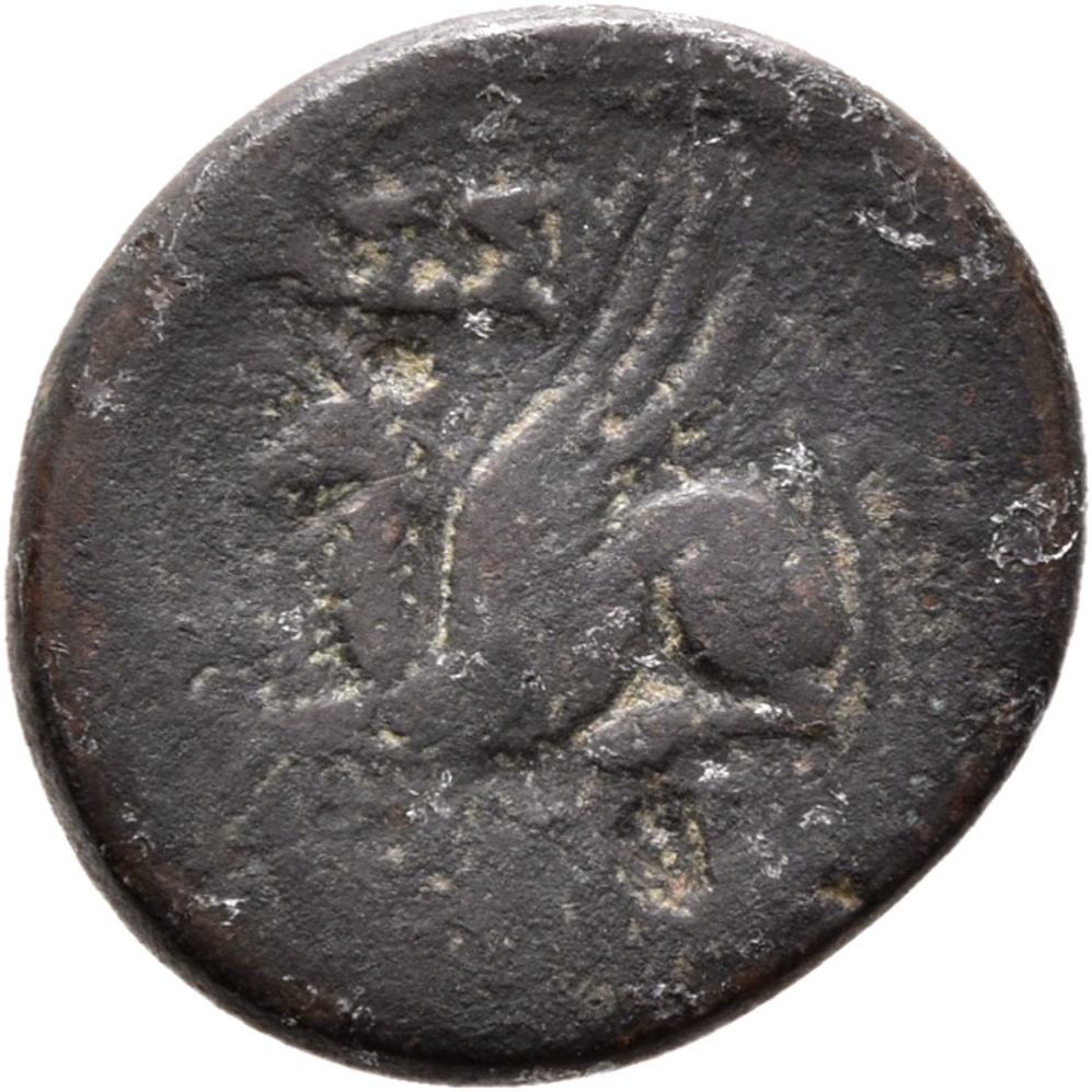 CN Type 13073, реверс, cn-coins