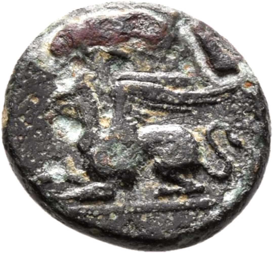 CN Type 19541, реверс, cn-coins