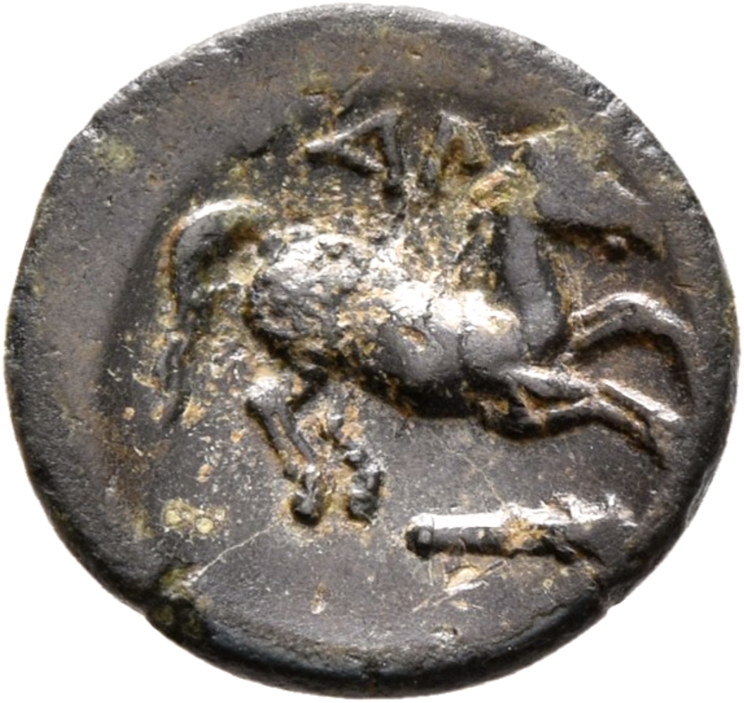 CN Type 12153, реверс, cn-coins