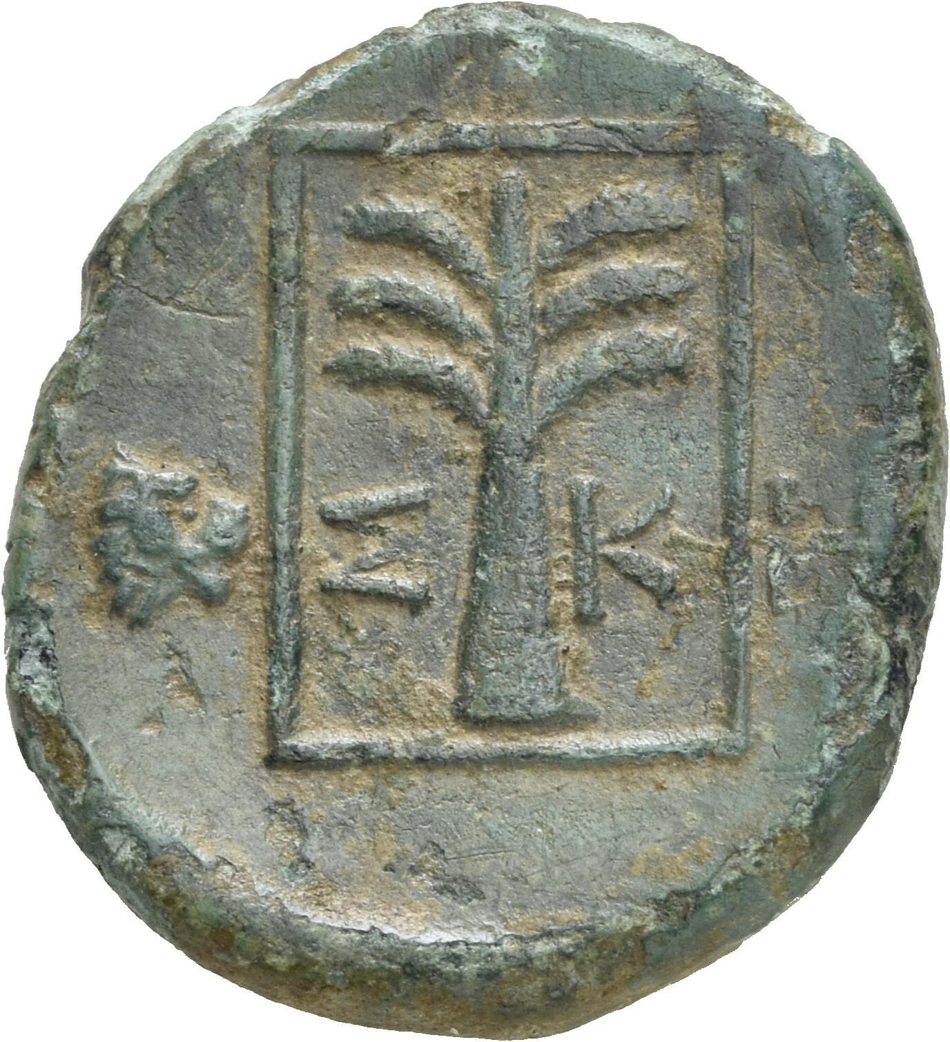реверс CN Type 19643