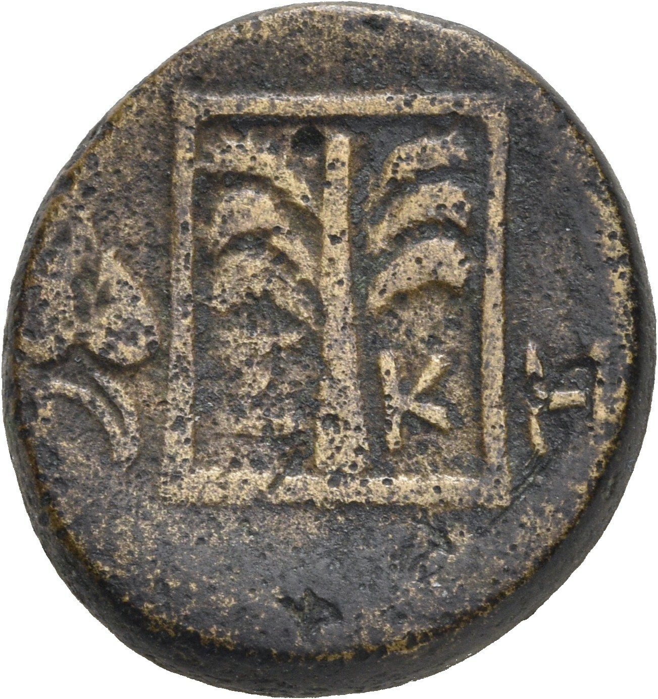 реверс CN Type 19632