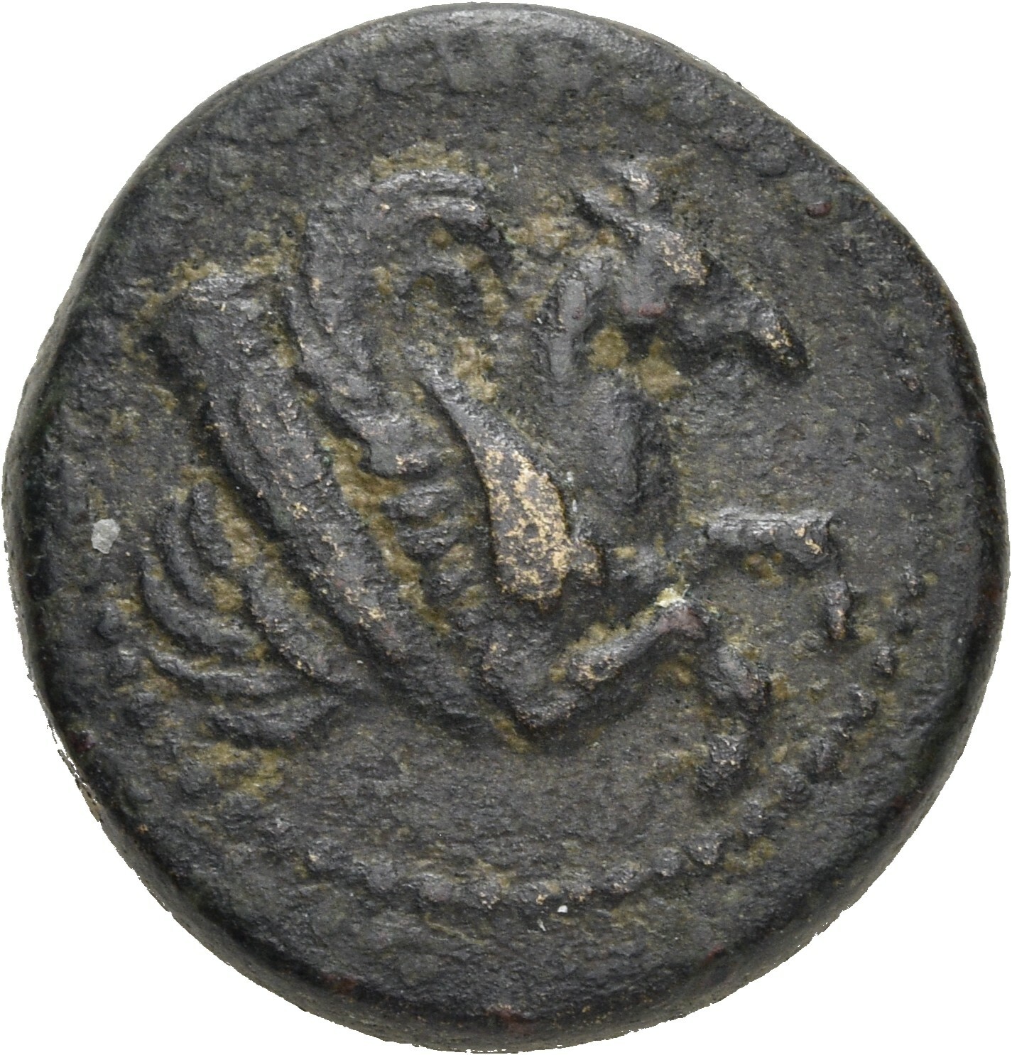 CN Type 19636, аверс, cn-coins
