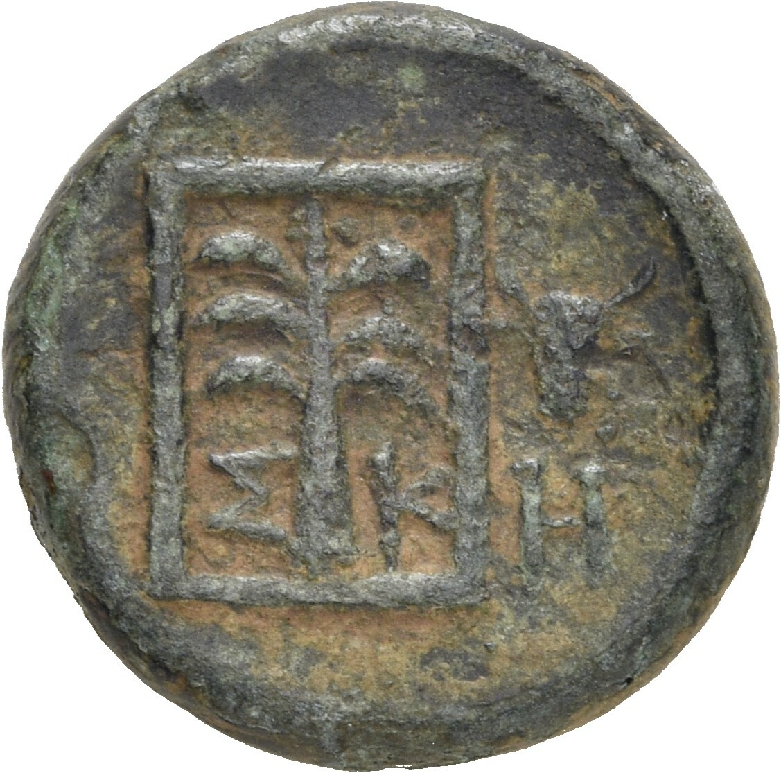 реверс CN Type 19635