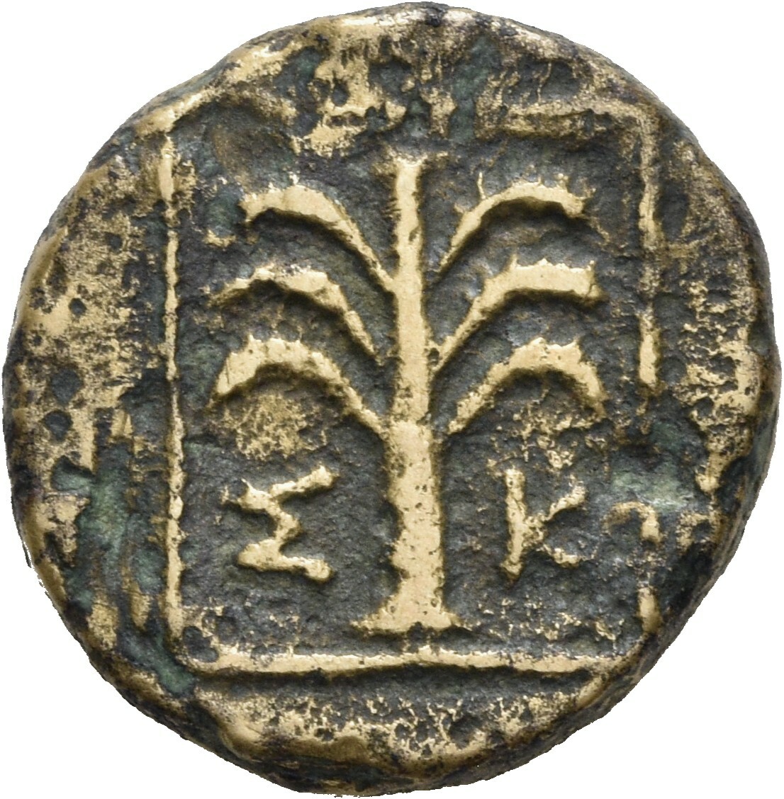 CN Type 19656, реверс, Corpus Nummorum