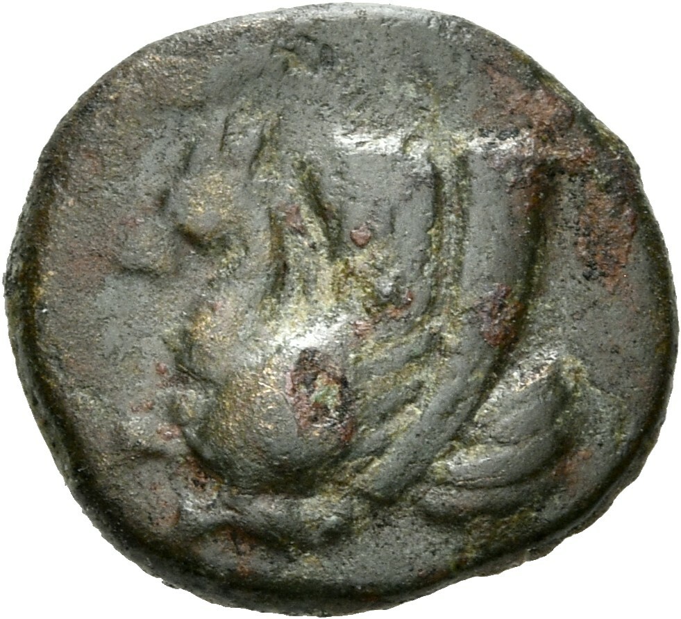 CN Type 19672, аверс, cn-coins