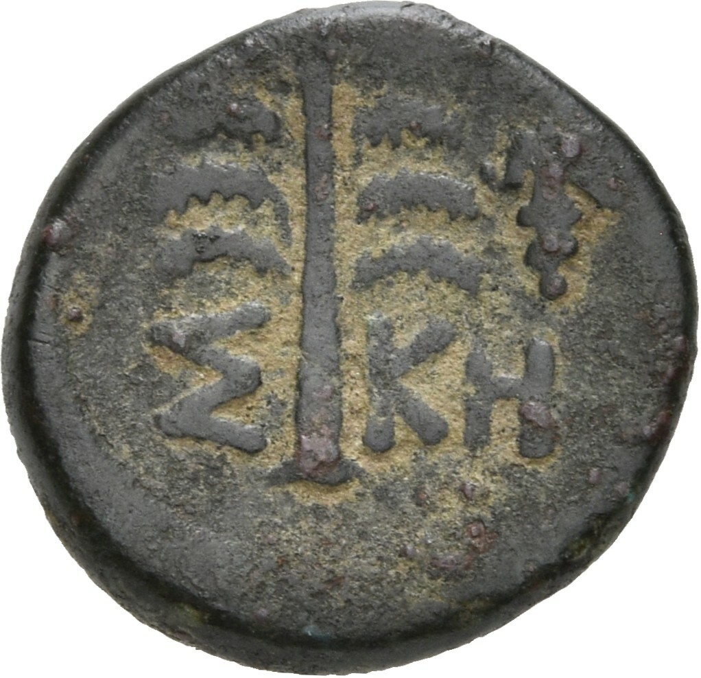реверс CN Type 19673