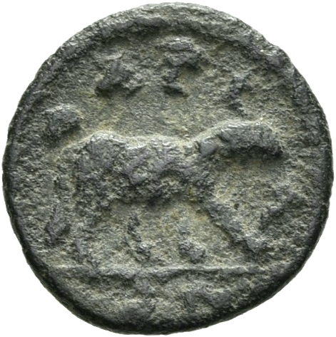 CN Type 19507, реверс, cn-coins