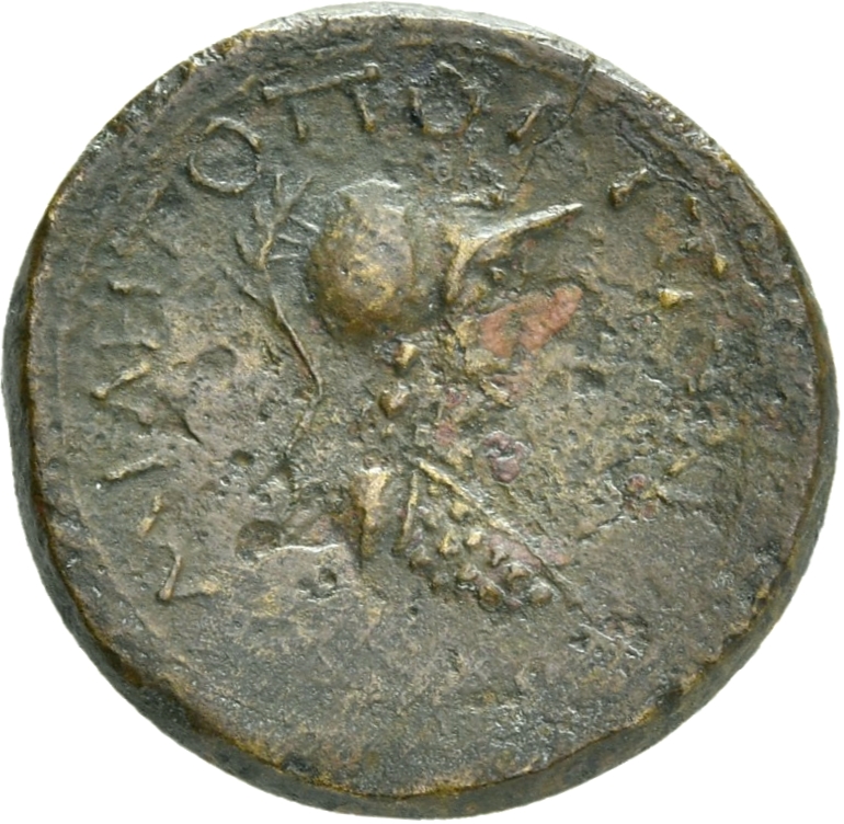 реверс CN Type 19813