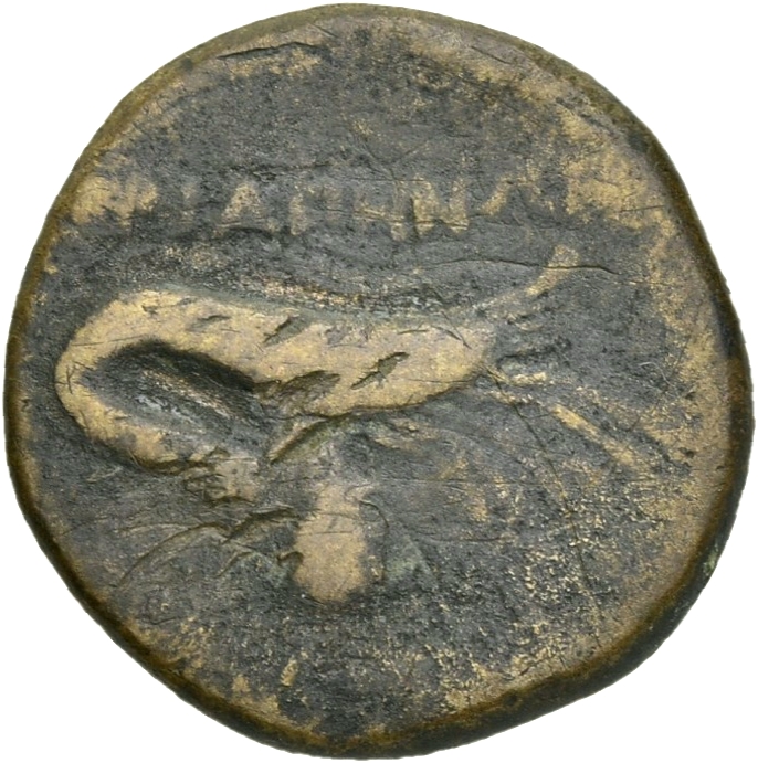 CN Type 19705, реверс, cn-coins