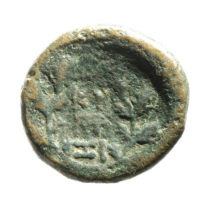 реверс CN Type 12959