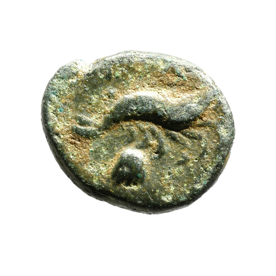 CN Type 12937, реверс, cn-coins