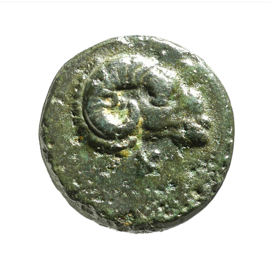 CN Type 12102, аверс, cn-coins