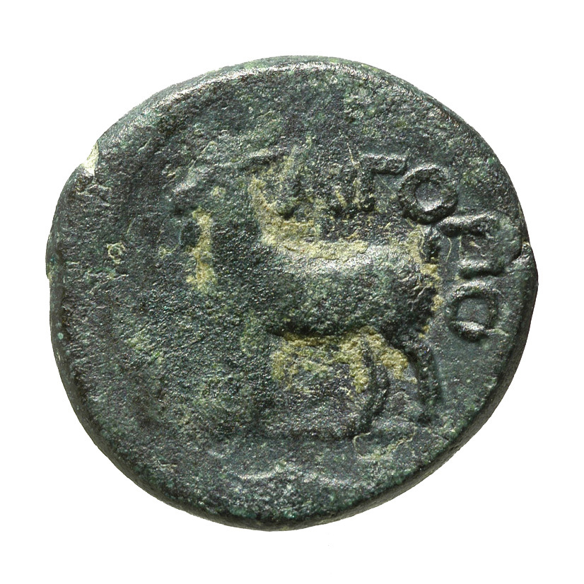 реверс CN Type cn.aegospotami.1_ed.3