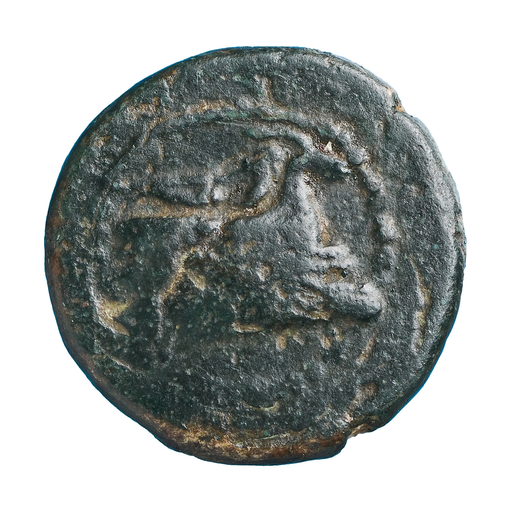 аверс CN Type cn.elaeus.1_ed.13