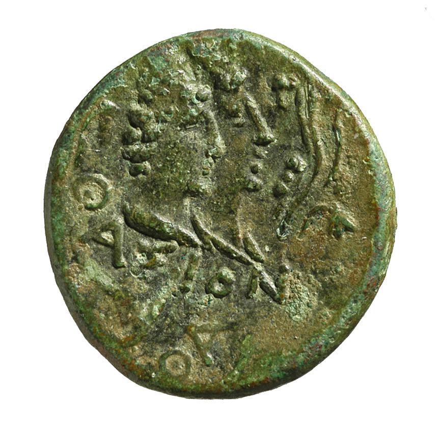 реверс CN Type cn.thasos.1_ed.96