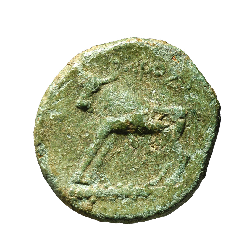CN Type cn.odrysae.1_ed.1, реверс, cn-coins